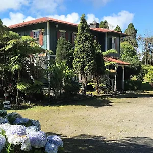 https://aloha-happy-place.hotelsinhawaii.org